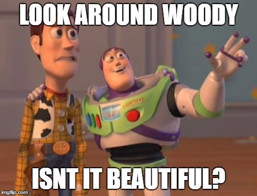 X, X Everywhere | LOOK AROUND WOODY; ISNT IT BEAUTIFUL? | image tagged in memes,x x everywhere | made w/ Imgflip meme maker