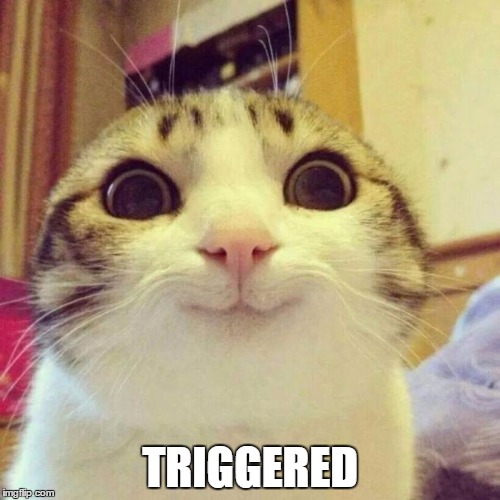 Smiling Cat | TRIGGERED | image tagged in memes,smiling cat | made w/ Imgflip meme maker
