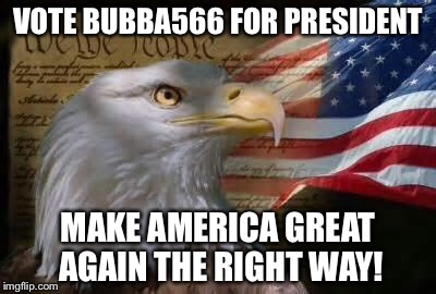 American Eagle | VOTE BUBBA566 FOR PRESIDENT; MAKE AMERICA GREAT AGAIN THE RIGHT WAY! | image tagged in american eagle | made w/ Imgflip meme maker