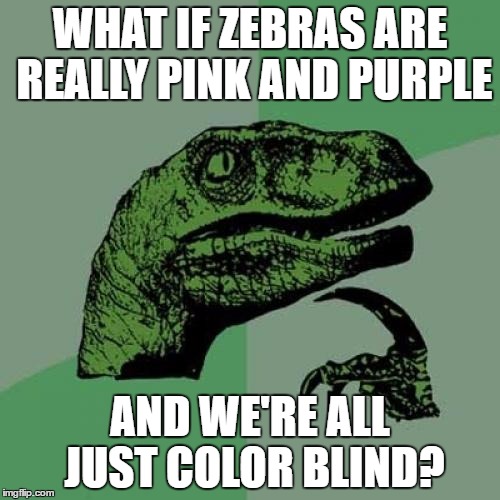Philosoraptor Meme | WHAT IF ZEBRAS ARE REALLY PINK AND PURPLE; AND WE'RE ALL JUST COLOR BLIND? | image tagged in memes,philosoraptor | made w/ Imgflip meme maker