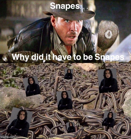 Snapes | image tagged in indiana jones snakes,harry potter | made w/ Imgflip meme maker