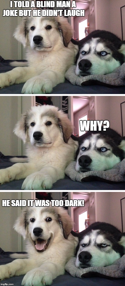 it wasn't funny at all | I TOLD A BLIND MAN A JOKE BUT HE DIDN'T LAUGH; WHY? HE SAID IT WAS TOO DARK! | image tagged in bad pun dogs | made w/ Imgflip meme maker