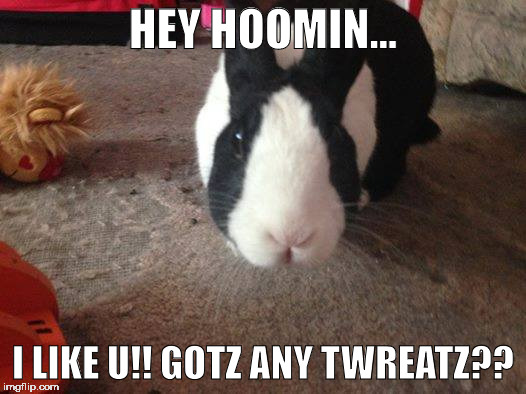 Twreatz | HEY HOOMIN... I LIKE U!! GOTZ ANY TWREATZ?? | image tagged in memes | made w/ Imgflip meme maker