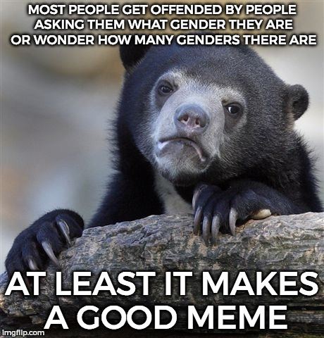 Confession Bear | MOST PEOPLE GET OFFENDED BY PEOPLE ASKING THEM WHAT GENDER THEY ARE OR WONDER HOW MANY GENDERS THERE ARE; AT LEAST IT MAKES A GOOD MEME | image tagged in memes,confession bear | made w/ Imgflip meme maker