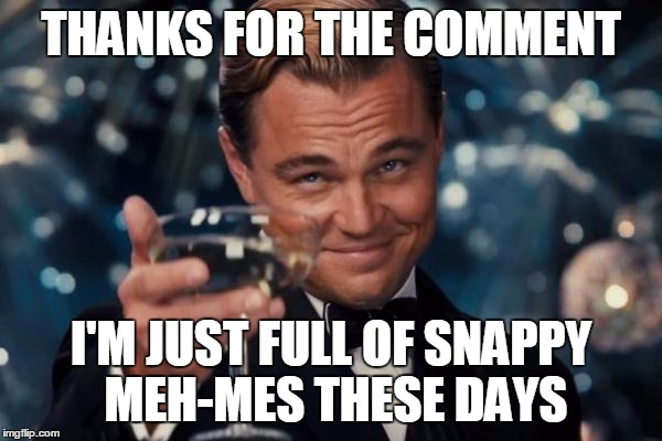 Leonardo Dicaprio Cheers Meme | THANKS FOR THE COMMENT I'M JUST FULL OF SNAPPY MEH-MES THESE DAYS | image tagged in memes,leonardo dicaprio cheers | made w/ Imgflip meme maker