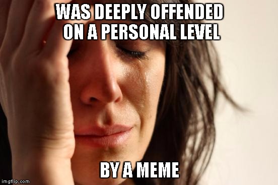 First World Problems | WAS DEEPLY OFFENDED ON A PERSONAL LEVEL; BY A MEME | image tagged in memes,first world problems | made w/ Imgflip meme maker
