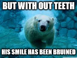 BUT WITH OUT TEETH HIS SMILE HAS BEEN BRUINED | made w/ Imgflip meme maker