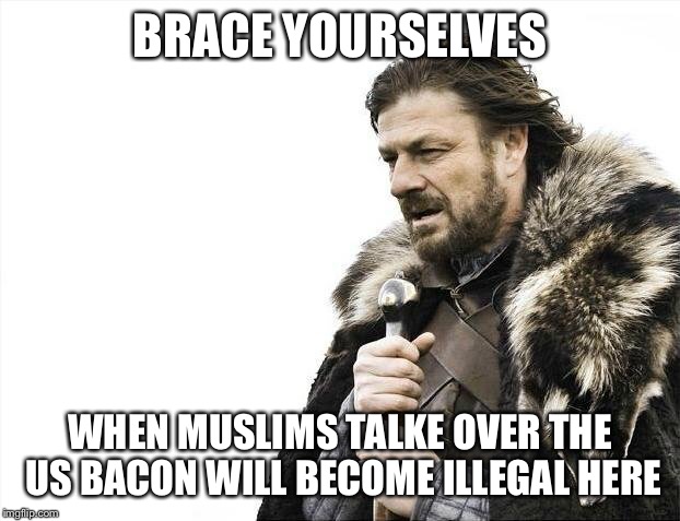 Brace Yourselves X is Coming Meme | BRACE YOURSELVES; WHEN MUSLIMS TALKE OVER THE US BACON WILL BECOME ILLEGAL HERE | image tagged in memes,brace yourselves x is coming | made w/ Imgflip meme maker