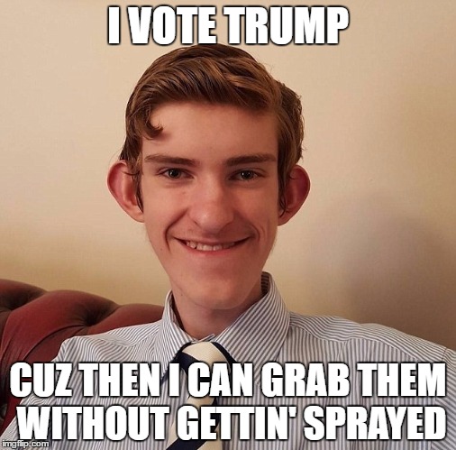 I VOTE TRUMP | I VOTE TRUMP; CUZ THEN I CAN GRAB THEM WITHOUT GETTIN' SPRAYED | image tagged in donald trump,trump 2016,donald trump approves,trump | made w/ Imgflip meme maker