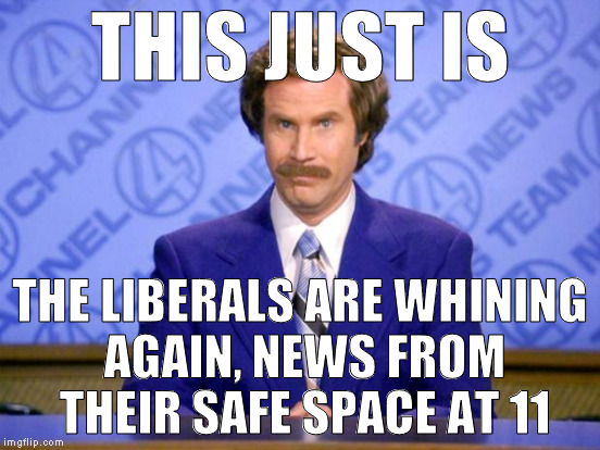 THIS JUST IS THE LIBERALS ARE WHINING AGAIN, NEWS FROM THEIR SAFE SPACE AT 11 | made w/ Imgflip meme maker