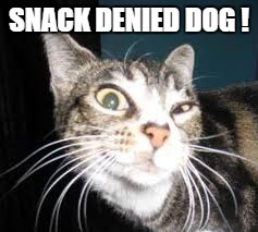 SNACK DENIED DOG ! | made w/ Imgflip meme maker