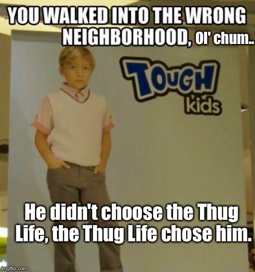 Found This Online, And I Howled With Laughter: | Ol' chum.. He didn't choose the Thug Life, the Thug Life chose him. | image tagged in memes,kids,thug life | made w/ Imgflip meme maker