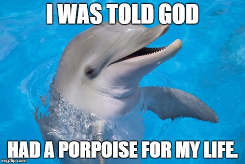 dolphin | I WAS TOLD GOD; HAD A PORPOISE FOR MY LIFE. | image tagged in dolphins,dumb | made w/ Imgflip meme maker