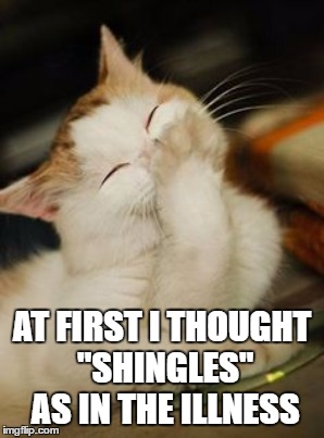 AT FIRST I THOUGHT "SHINGLES" AS IN THE ILLNESS | made w/ Imgflip meme maker