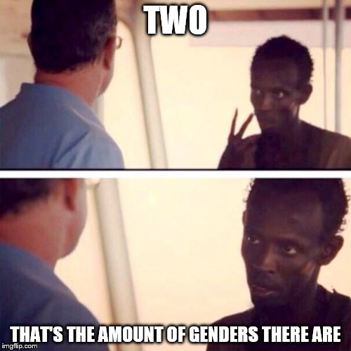 Captain Phillips - I'm The Captain Now Meme | TWO; THAT'S THE AMOUNT OF GENDERS THERE ARE | image tagged in memes,captain phillips - i'm the captain now | made w/ Imgflip meme maker