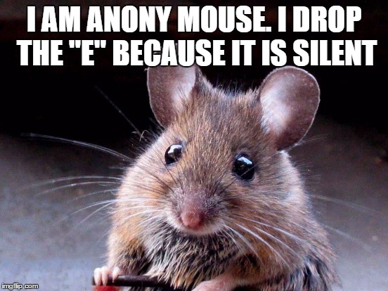 I AM ANONY MOUSE. I DROP THE "E" BECAUSE IT IS SILENT | made w/ Imgflip meme maker