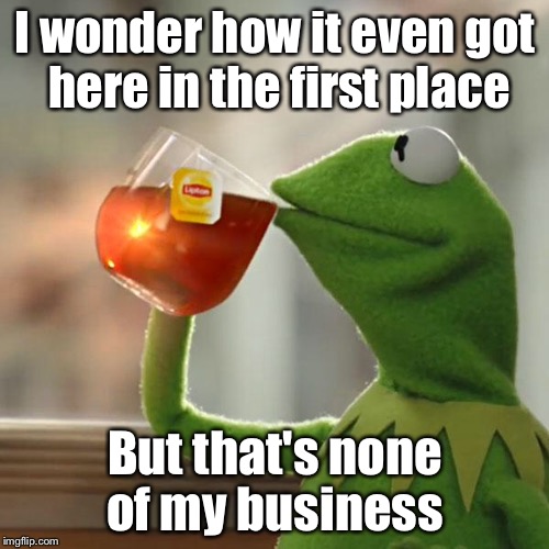 But That's None Of My Business Meme | I wonder how it even got here in the first place But that's none of my business | image tagged in memes,but thats none of my business,kermit the frog | made w/ Imgflip meme maker