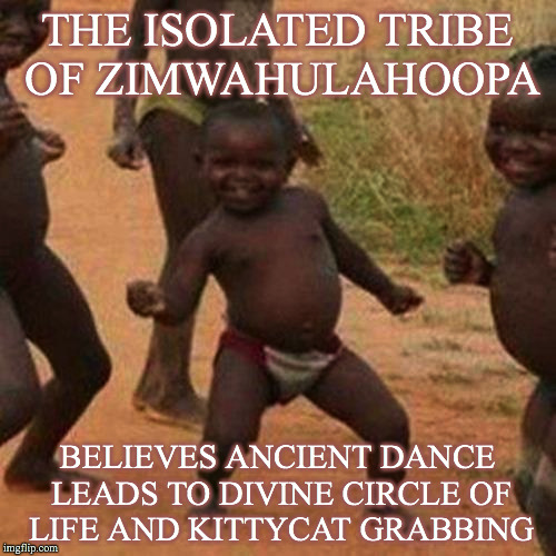 Third World Success Kid Meme | THE ISOLATED TRIBE OF ZIMWAHULAHOOPA BELIEVES ANCIENT DANCE LEADS TO DIVINE CIRCLE OF LIFE AND KITTYCAT GRABBING | image tagged in memes,third world success kid | made w/ Imgflip meme maker