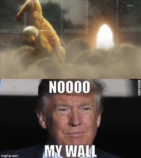 Why tho | NOOOO; MY WALL | image tagged in donald trump,anime,attack on titan,trump wall,memes | made w/ Imgflip meme maker