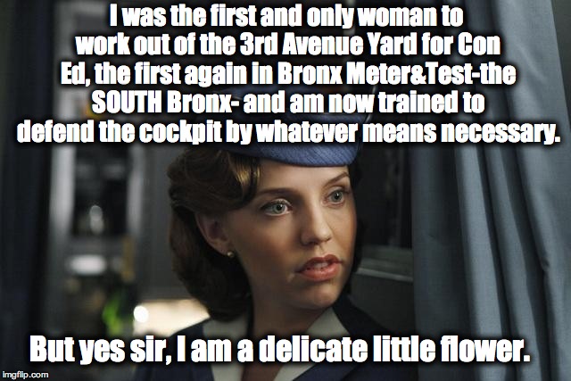 Flight Attendant  | I was the first and only woman to work out of the 3rd Avenue Yard for Con Ed, the first again in Bronx Meter&Test-the SOUTH Bronx- and am now trained to defend the cockpit by whatever means necessary. But yes sir, I am a delicate little flower. | image tagged in flight attendant | made w/ Imgflip meme maker