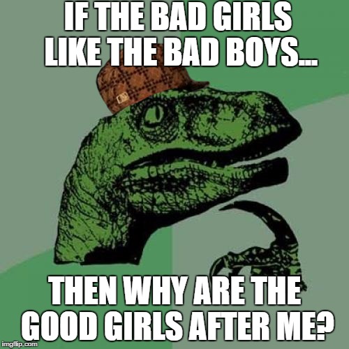 Philosoraptor Meme | IF THE BAD GIRLS LIKE THE BAD BOYS... THEN WHY ARE THE GOOD GIRLS AFTER ME? | image tagged in memes,philosoraptor,scumbag | made w/ Imgflip meme maker