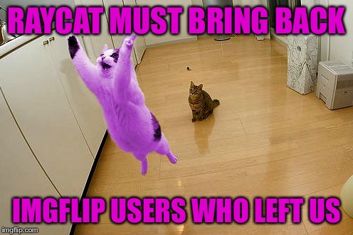 Mention a name in the comments | RAYCAT MUST BRING BACK; IMGFLIP USERS WHO LEFT US | image tagged in raycat save the world | made w/ Imgflip meme maker