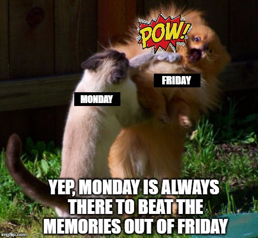 MONDAY YEP, MONDAY IS ALWAYS THERE TO BEAT THE MEMORIES OUT OF FRIDAY FRIDAY | made w/ Imgflip meme maker