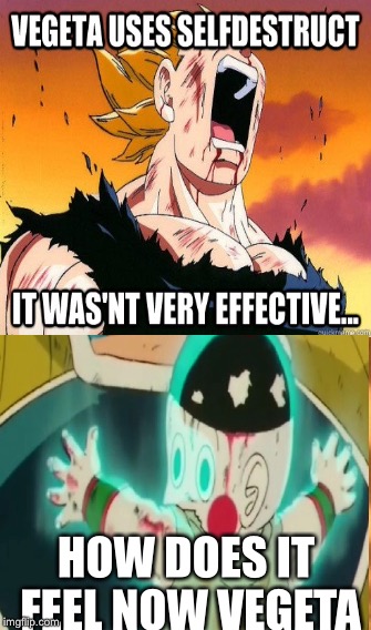 HOW DOES IT FEEL NOW VEGETA | image tagged in funny | made w/ Imgflip meme maker