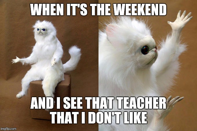 Persian Cat Room Guardian Meme | WHEN IT'S THE WEEKEND; AND I SEE THAT TEACHER THAT I DON'T LIKE | image tagged in memes,persian cat room guardian | made w/ Imgflip meme maker