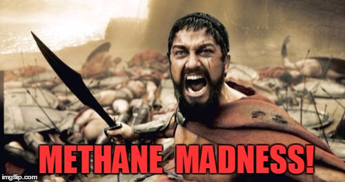 Sparta Leonidas Meme | METHANE  MADNESS! | image tagged in memes,sparta leonidas | made w/ Imgflip meme maker