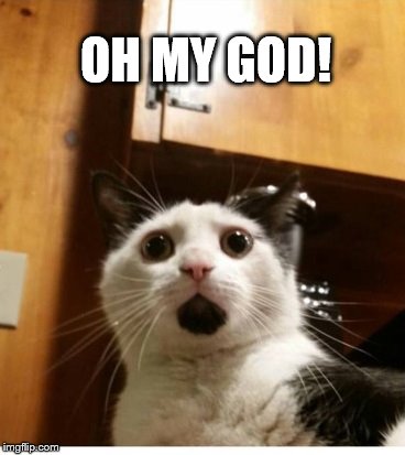 Oh My God! | OH MY GOD! | image tagged in cat,funny,omg cat | made w/ Imgflip meme maker
