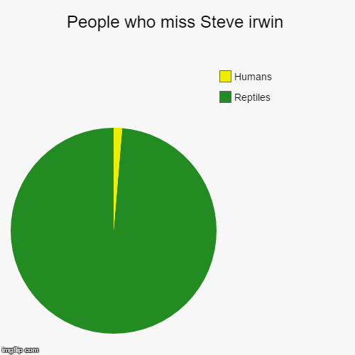 We managed to live 10 years without him. But some lost more than we did. | image tagged in funny,pie charts,steve irwin | made w/ Imgflip chart maker