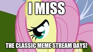 Shy Fluttershy | I MISS; THE CLASSIC MEME STREAM DAYS! | image tagged in shy fluttershy | made w/ Imgflip meme maker