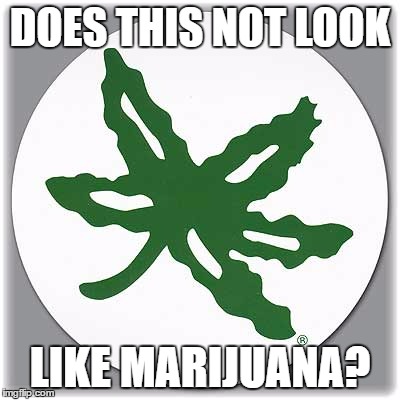 Buckeye Leaf | DOES THIS NOT LOOK; LIKE MARIJUANA? | image tagged in stupid,buckeyes | made w/ Imgflip meme maker