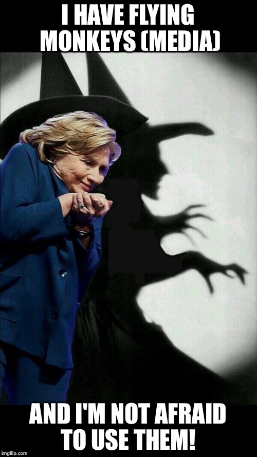 Hillary Clinton Emails | I HAVE FLYING MONKEYS (MEDIA); AND I'M NOT AFRAID TO USE THEM! | image tagged in hillary clinton emails | made w/ Imgflip meme maker