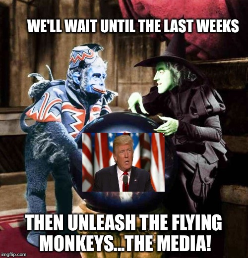 WE'LL WAIT UNTIL THE LAST WEEKS; THEN UNLEASH THE FLYING MONKEYS...THE MEDIA! | image tagged in witch | made w/ Imgflip meme maker