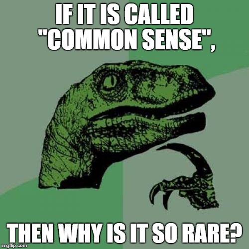 "COMMON" Sense | IF IT IS CALLED "COMMON SENSE", THEN WHY IS IT SO RARE? | image tagged in memes,philosoraptor | made w/ Imgflip meme maker
