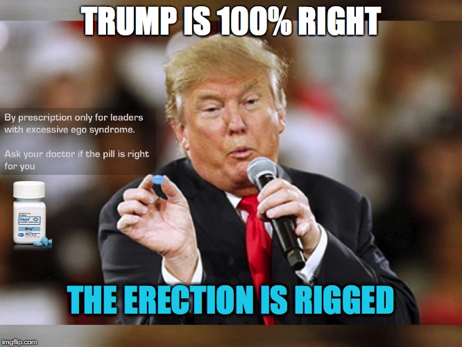 The Erection is Rigged |  TRUMP IS 100% RIGHT; THE ERECTION IS RIGGED | image tagged in trump,rigged,erection,election,viagra | made w/ Imgflip meme maker