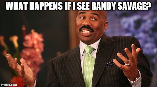Steve Harvey Meme | WHAT HAPPENS IF I SEE RANDY SAVAGE? | image tagged in memes,steve harvey | made w/ Imgflip meme maker