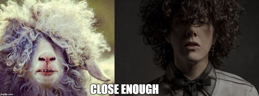 I've just found out what does she reminds me of... | CLOSE ENOUGH | image tagged in funny,memes,lp,sheep | made w/ Imgflip meme maker