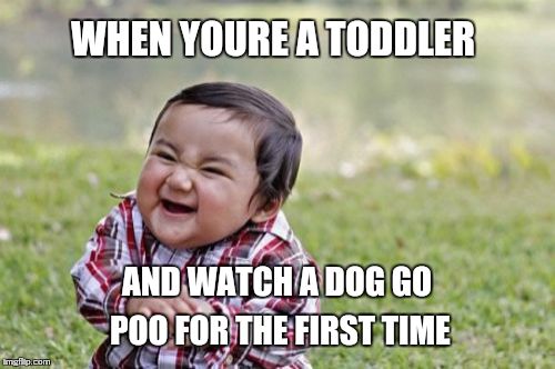 Evil Toddler Meme | WHEN YOURE A TODDLER; AND WATCH A DOG GO POO FOR THE FIRST TIME | image tagged in memes,evil toddler | made w/ Imgflip meme maker