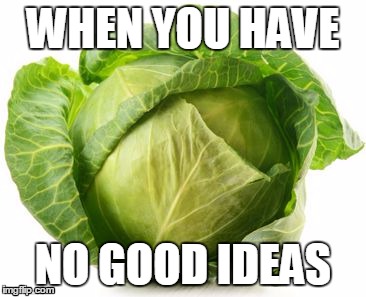 Cabbage | WHEN YOU HAVE; NO GOOD IDEAS | image tagged in cabbage | made w/ Imgflip meme maker
