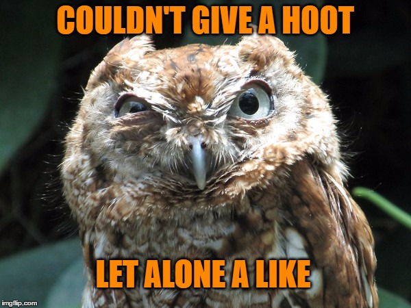 COULDN'T GIVE A HOOT LET ALONE A LIKE | made w/ Imgflip meme maker