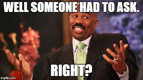 Steve Harvey Meme | WELL SOMEONE HAD TO ASK. RIGHT? | image tagged in memes,steve harvey | made w/ Imgflip meme maker