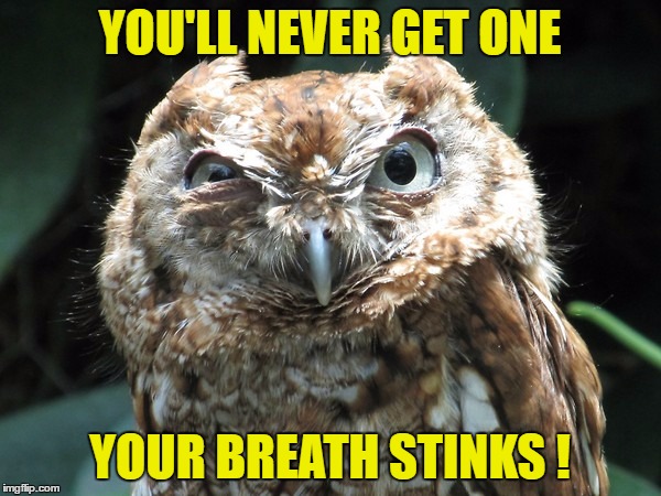 YOU'LL NEVER GET ONE YOUR BREATH STINKS ! | made w/ Imgflip meme maker