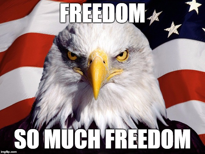 FREEDOM SO MUCH FREEDOM | made w/ Imgflip meme maker