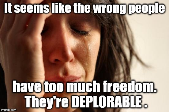 Deplorable, simply deplorable, the way they expect the Constitution and SCOTUS to protect their Liberties. What's up with that? | It seems like the wrong people; have too much freedom. They're DEPLORABLE . | image tagged in first world problems,election,liberty,freedom,deplorable | made w/ Imgflip meme maker