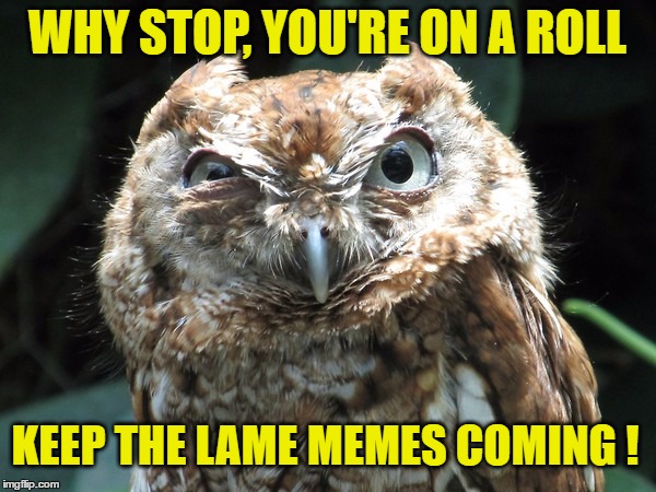 WHY STOP, YOU'RE ON A ROLL KEEP THE LAME MEMES COMING ! | made w/ Imgflip meme maker