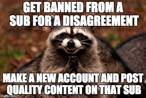 Evil Plotting Raccoon Meme | GET BANNED FROM A SUB FOR A DISAGREEMENT; MAKE A NEW ACCOUNT AND POST QUALITY CONTENT ON THAT SUB | image tagged in memes,evil plotting raccoon | made w/ Imgflip meme maker