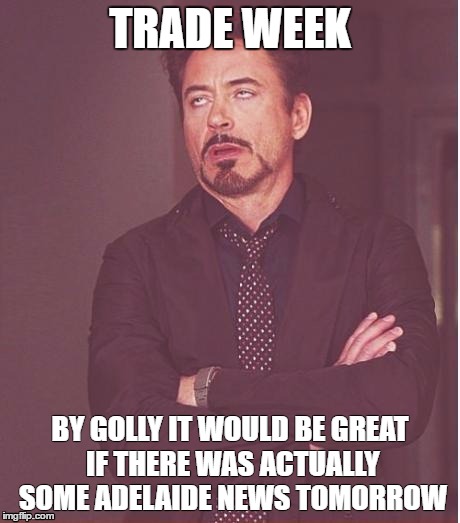 Face You Make Robert Downey Jr Meme | TRADE WEEK; BY GOLLY IT WOULD BE GREAT IF THERE WAS ACTUALLY SOME ADELAIDE NEWS TOMORROW | image tagged in memes,face you make robert downey jr | made w/ Imgflip meme maker